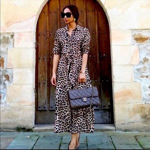 Zara leopard print button up dress